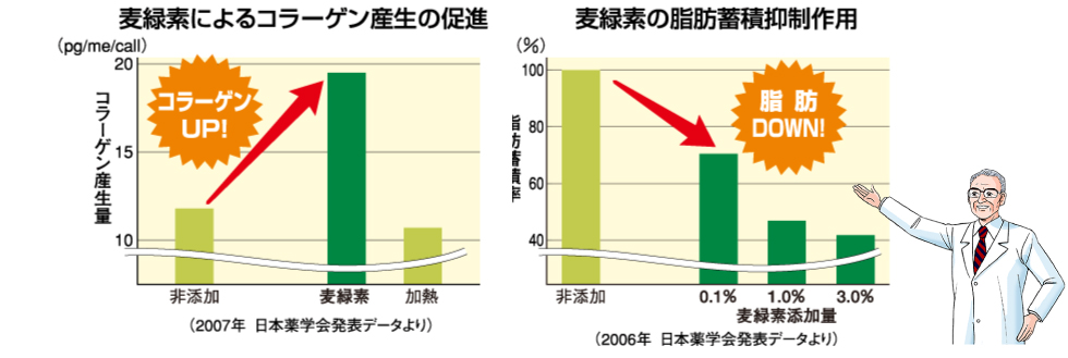 麦緑素によるコラーゲン産生の促進:コラーゲンUP!(2007年 日本薬学会発表データより) 麦緑素の脂肪蓄積抑制作用:脂肪DOWN!(2006年 日本薬学会発表データより)
